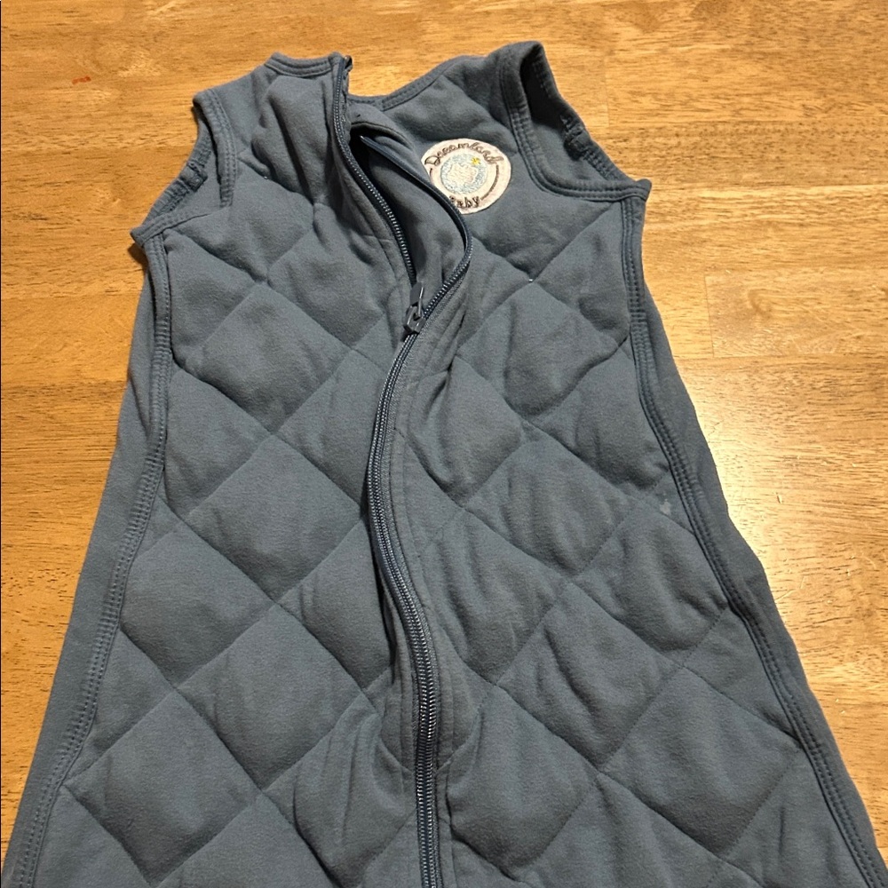 Dreamland baby Blue Quilted Sleeveless Vest